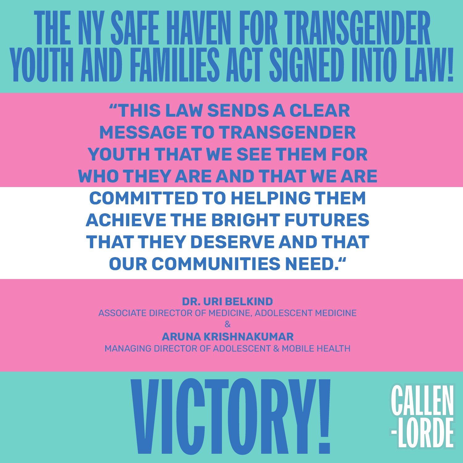 NY Safe Haven for Transgender Youth and Families Act Signed into Law